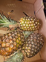 Ананас
