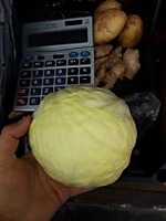 капуста