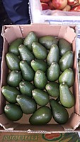 Авокадо зеленый