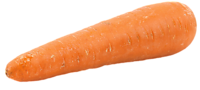 Морковь